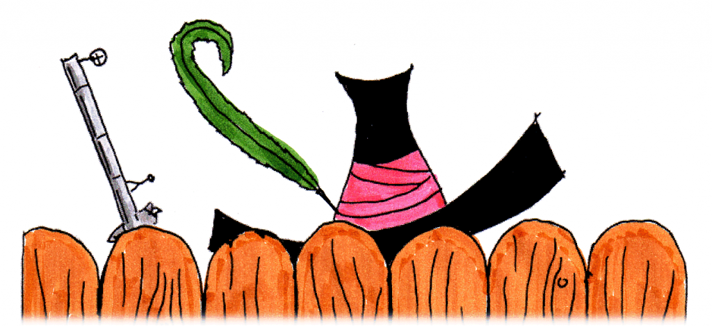 Räuberhut hinter Zaun